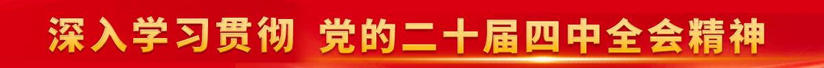 深入学习贯彻党的二十届四中全会精神